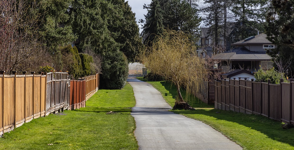 Wood fence lifespan Seattle by species comparison