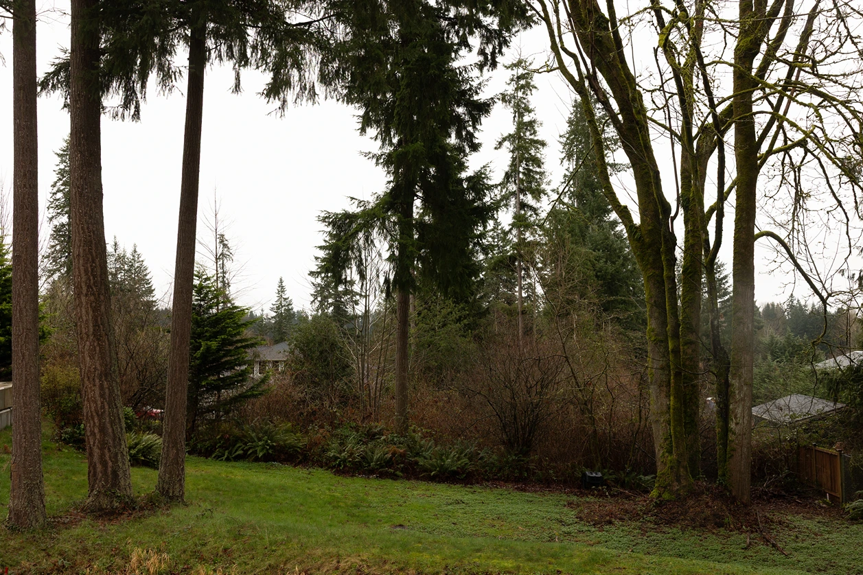 Keeping the View While Containing the Dog in Lynnwood, WA Before 5