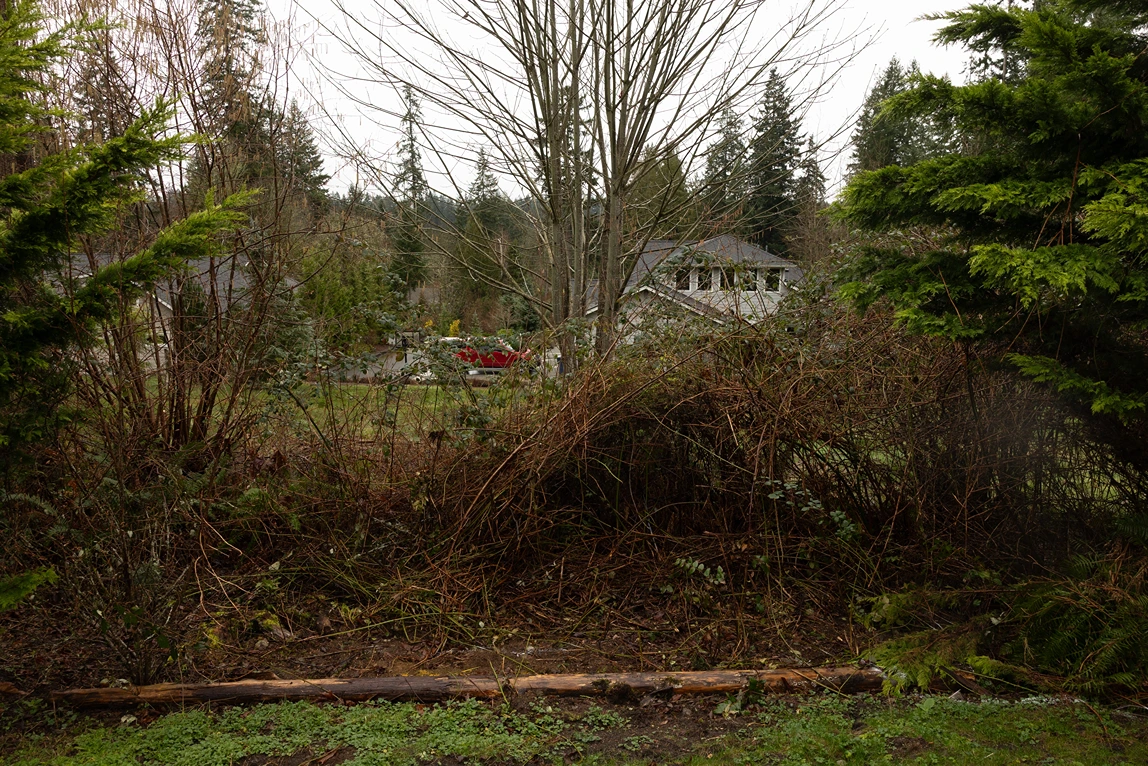 Keeping the View While Containing the Dog in Lynnwood, WA Before 4