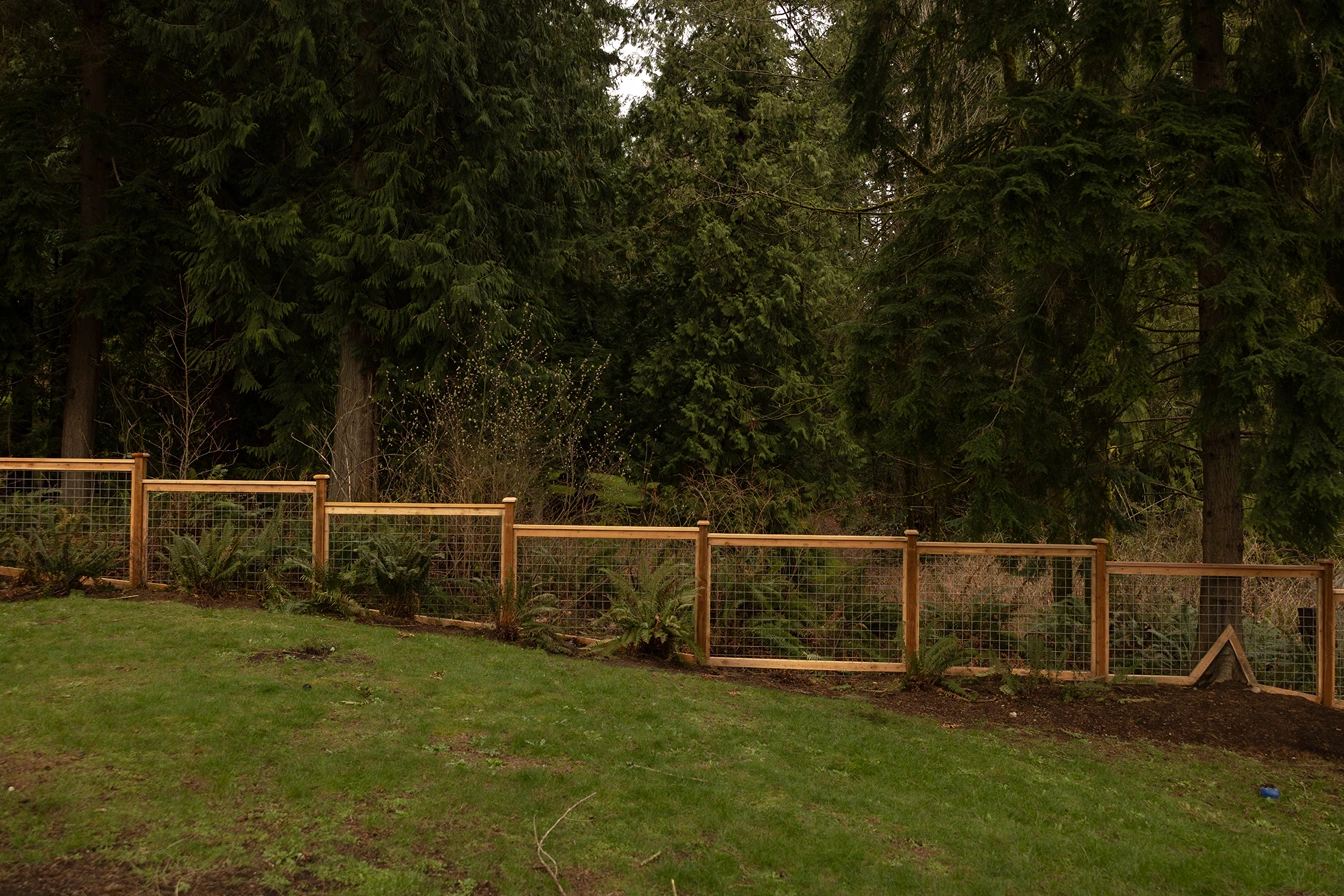 Keeping the View While Containing the Dog in Lynnwood, WA After 6