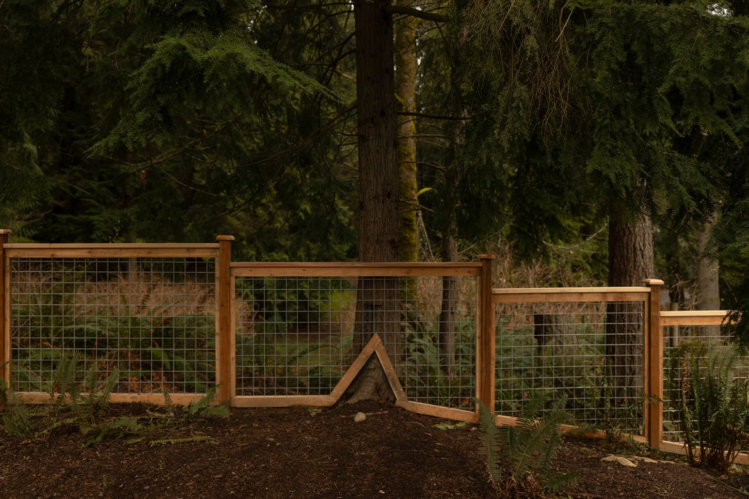 Keeping the View While Containing the Dog in Lynnwood, WA After 7