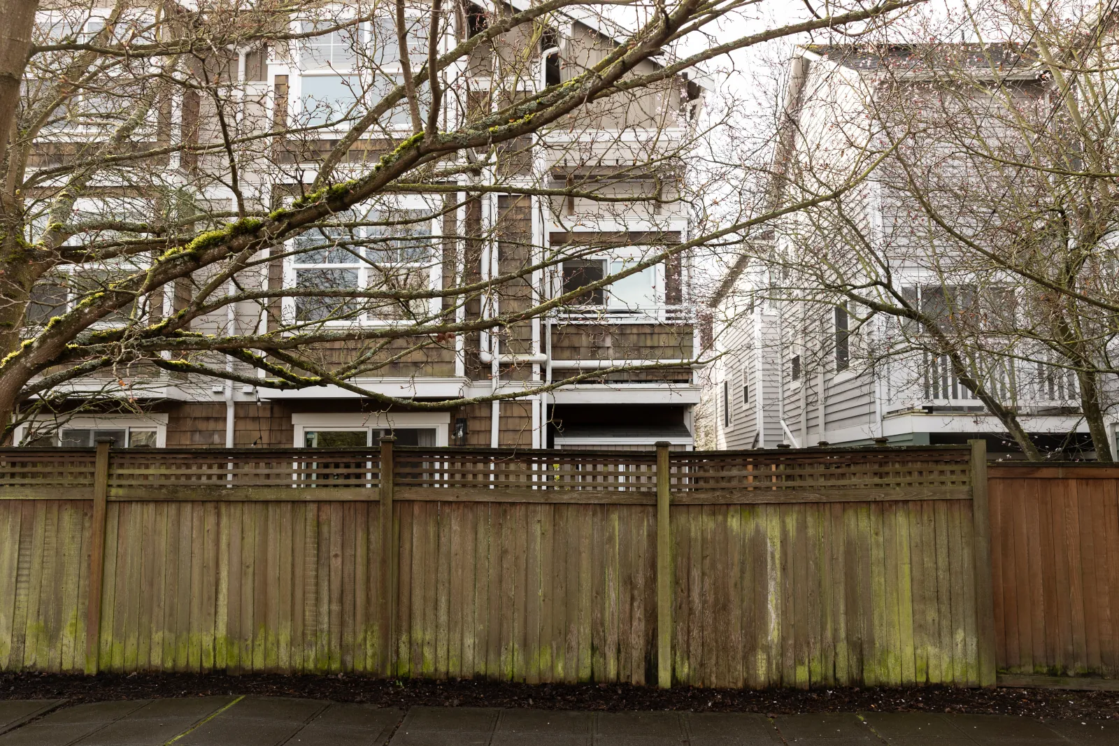 Old moss-covered wood fence with lattice top on a city sidewalk beside townhomes