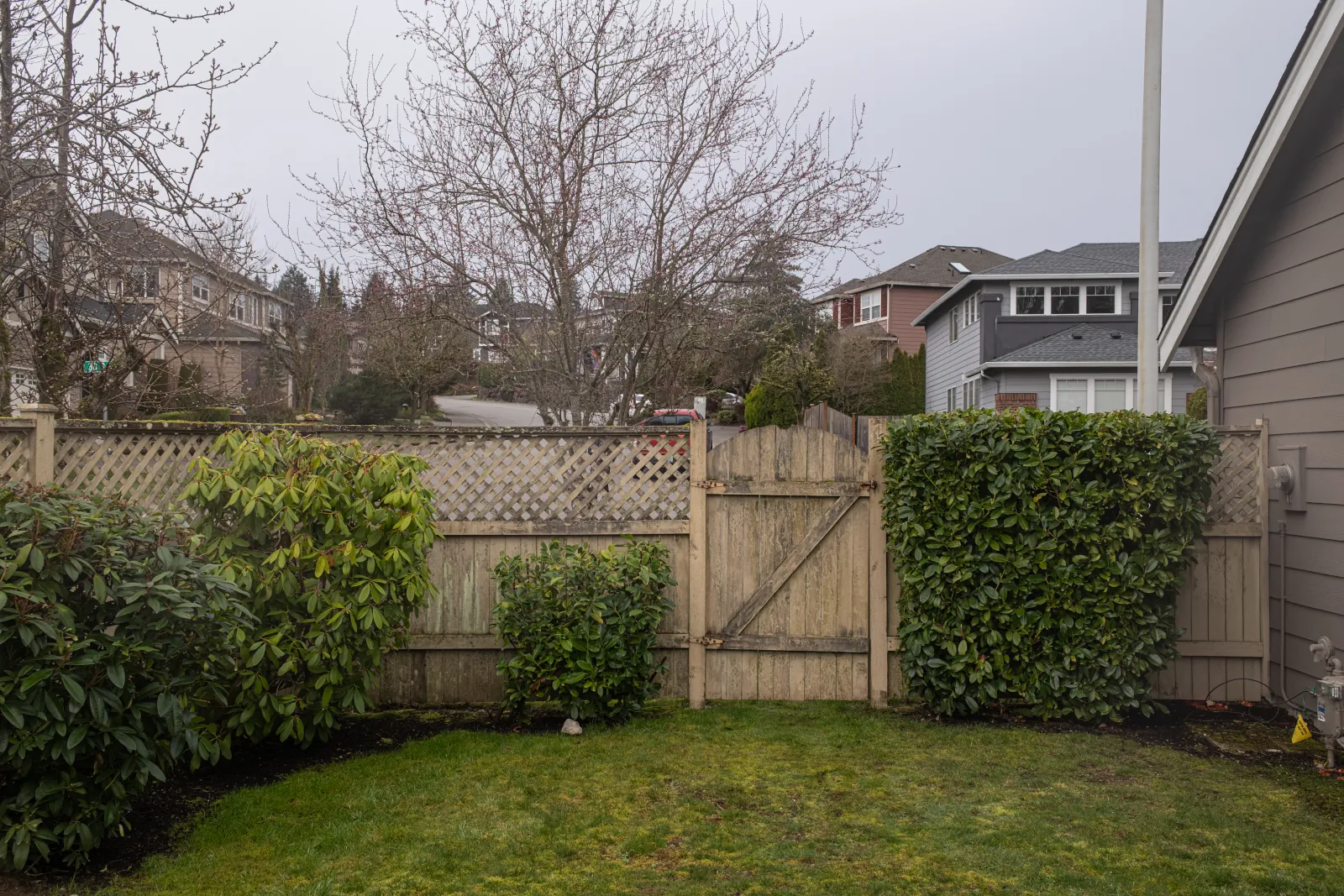 Weathered lattice-top fence and sagging gate between hedges in a side yard