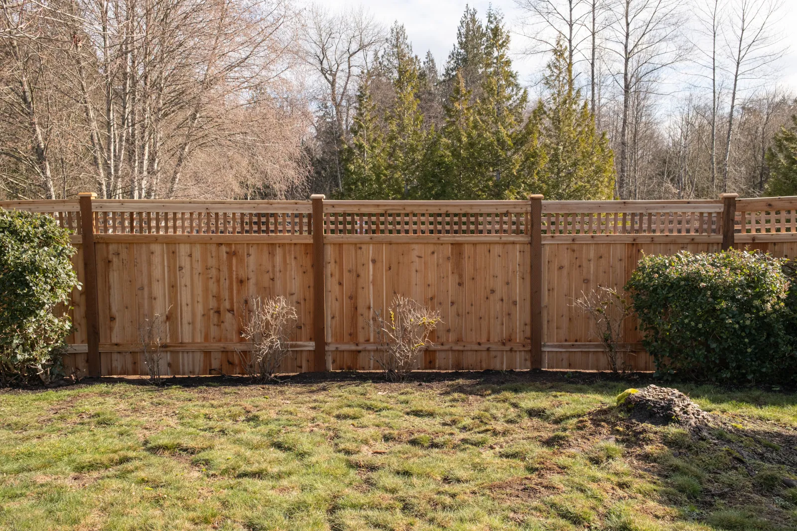 New cedar fence with lattice top enclosing a backyard that backs onto woods