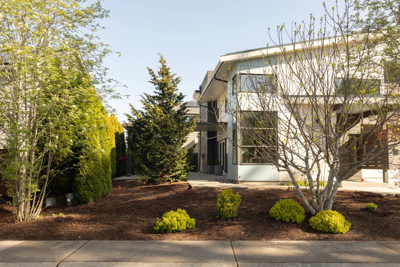 Front yard of a modern home with fresh mulch beds and no fence in place