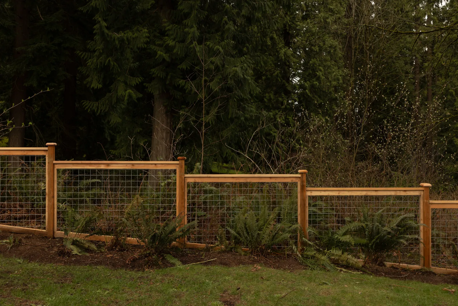 Close view of cedar-framed hog wire panels set among ferns at the edge of the woods