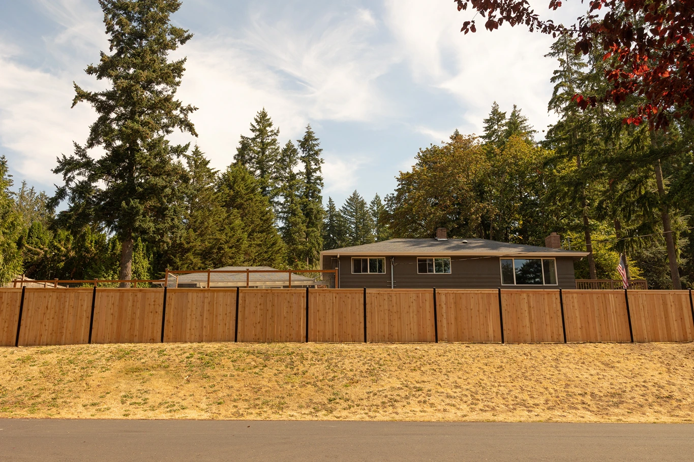 Steel-Framed Fence Design Sammamish After Image 12