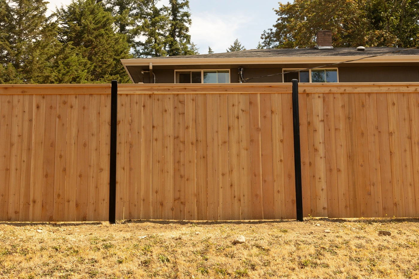 Steel-Framed Fence Design Sammamish After Image 13