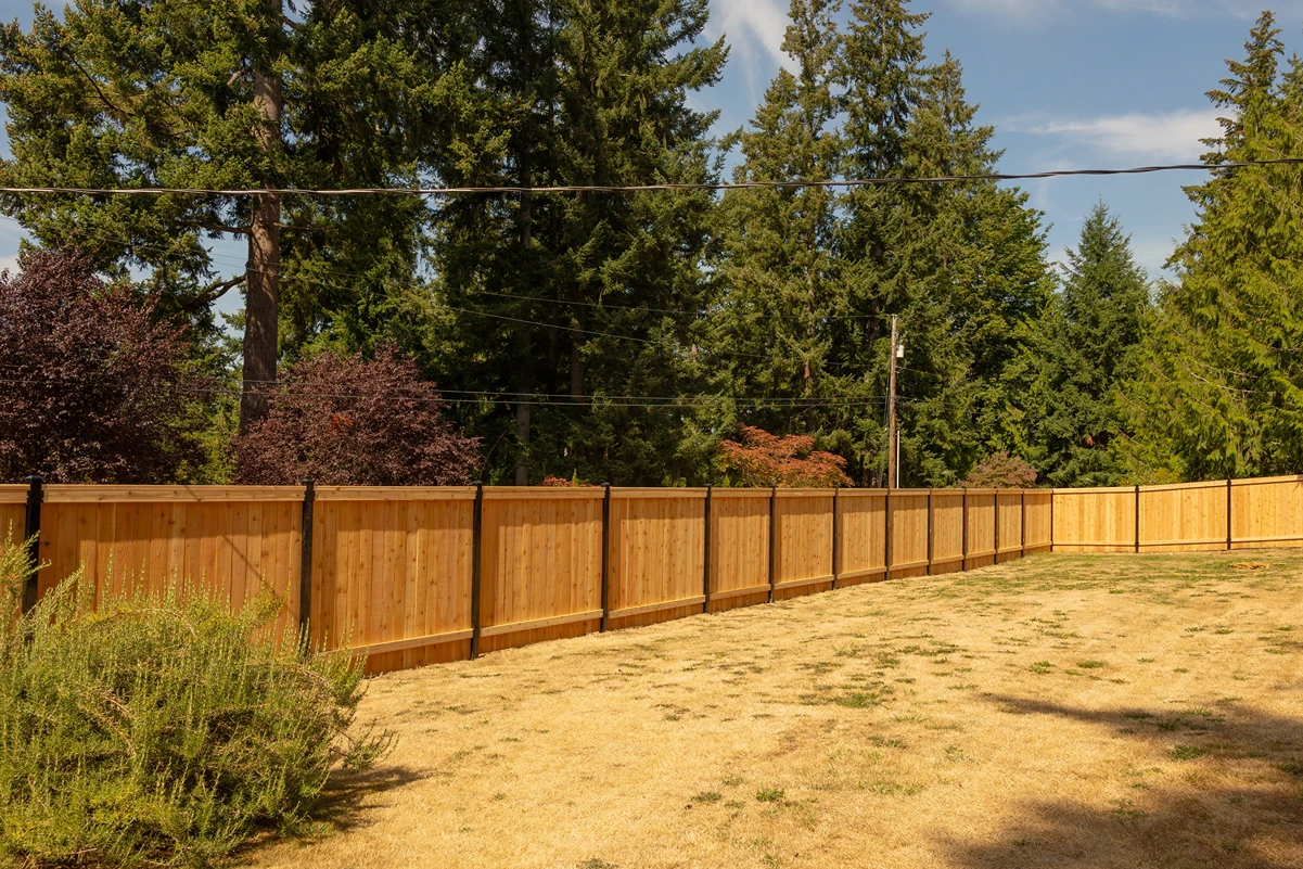 Steel-Framed Fence Design Sammamish After Image 9