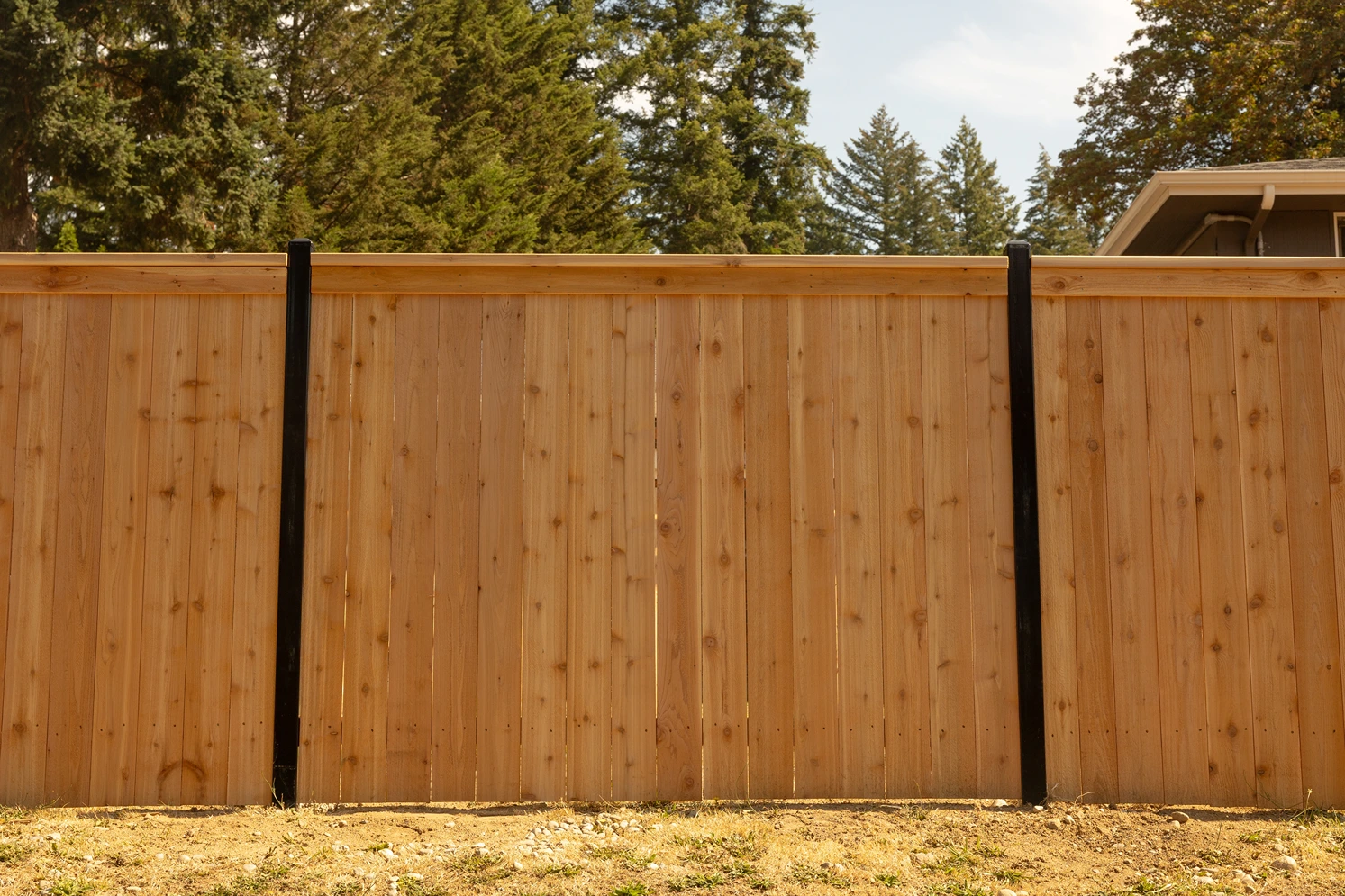 Steel-Framed Fence Design Sammamish After Image 15