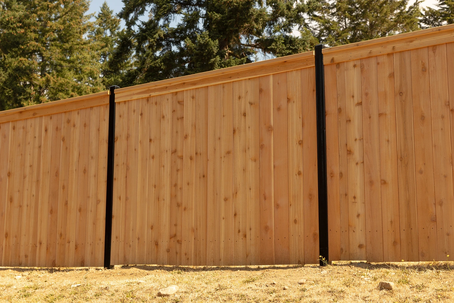 Steel-Framed Fence Design Sammamish After Image 14