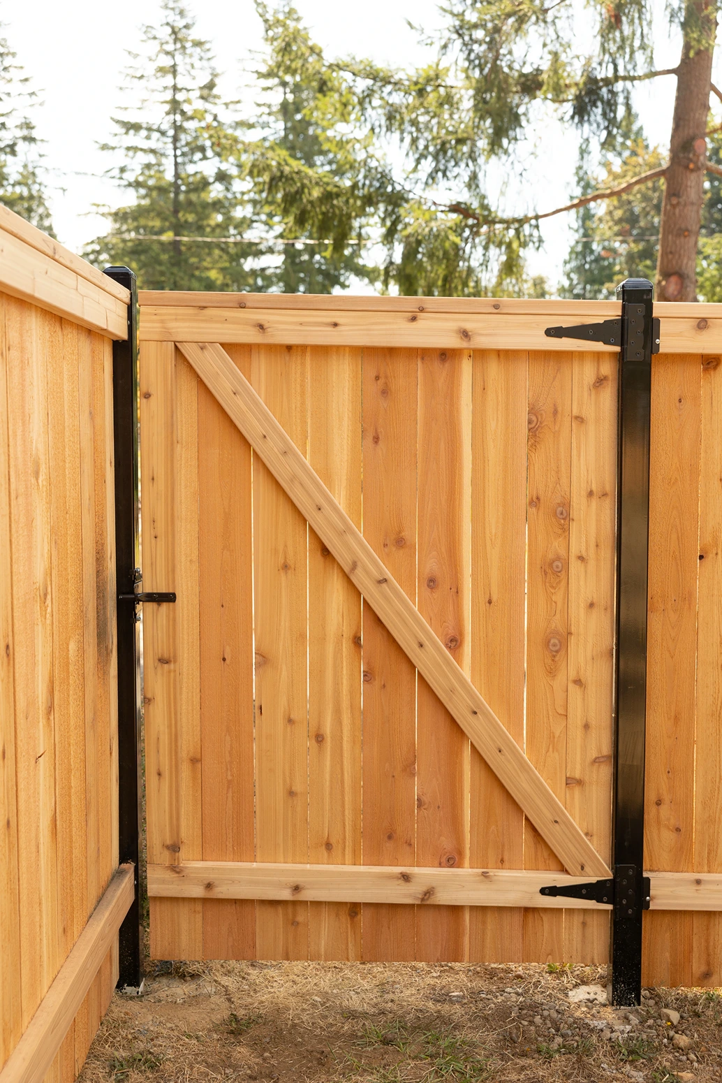 Steel-Framed Fence Design Sammamish After Image 5