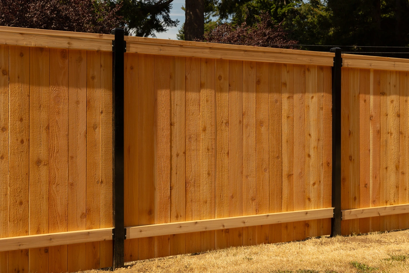 Steel-Framed Fence Design Sammamish After Image 8
