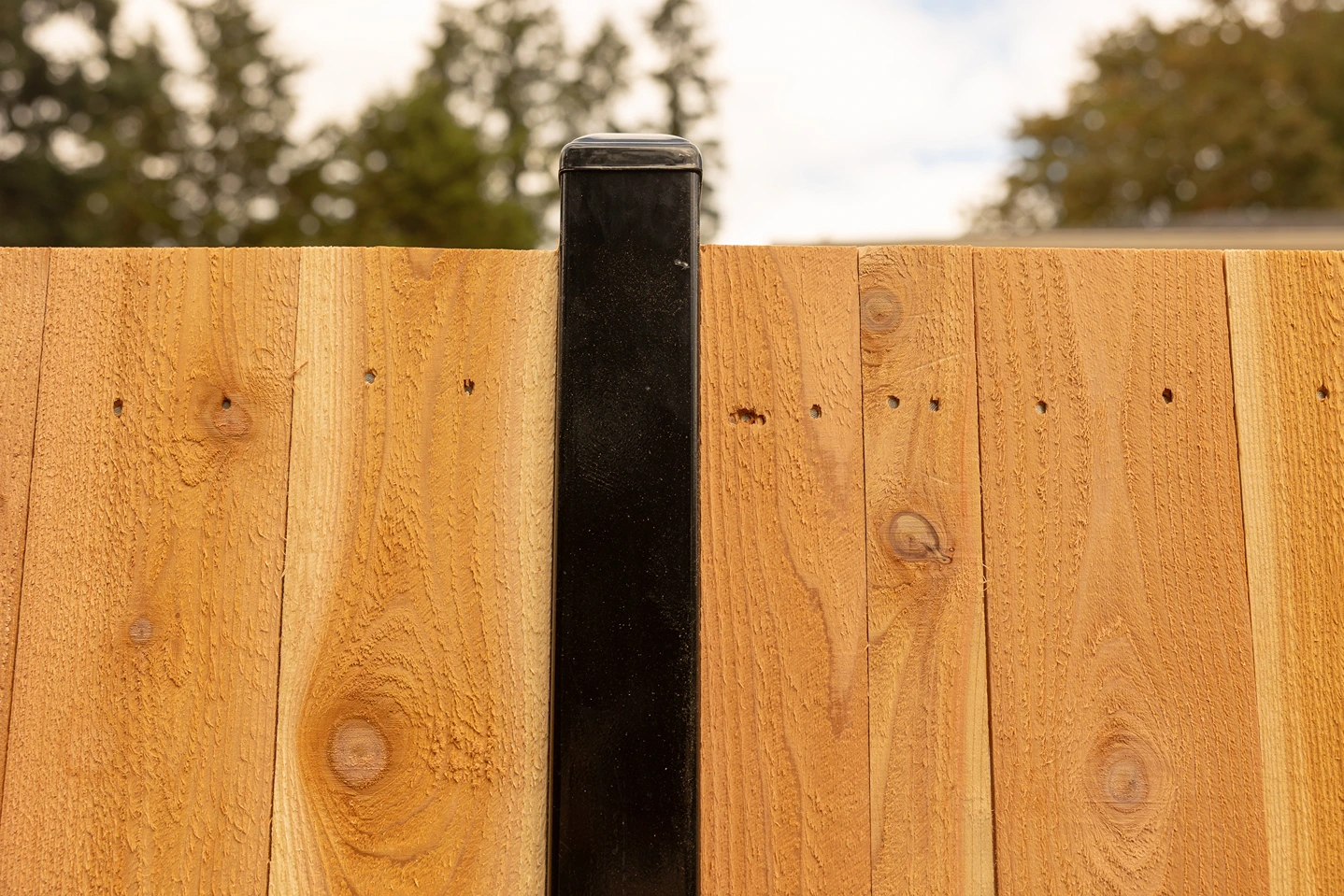 Steel-Framed Fence Design Sammamish After Image 3