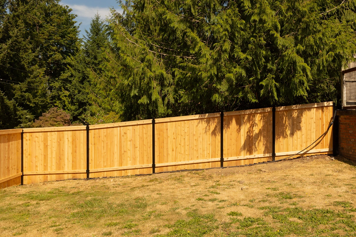 Steel-Framed Fence Design Sammamish After Image 7