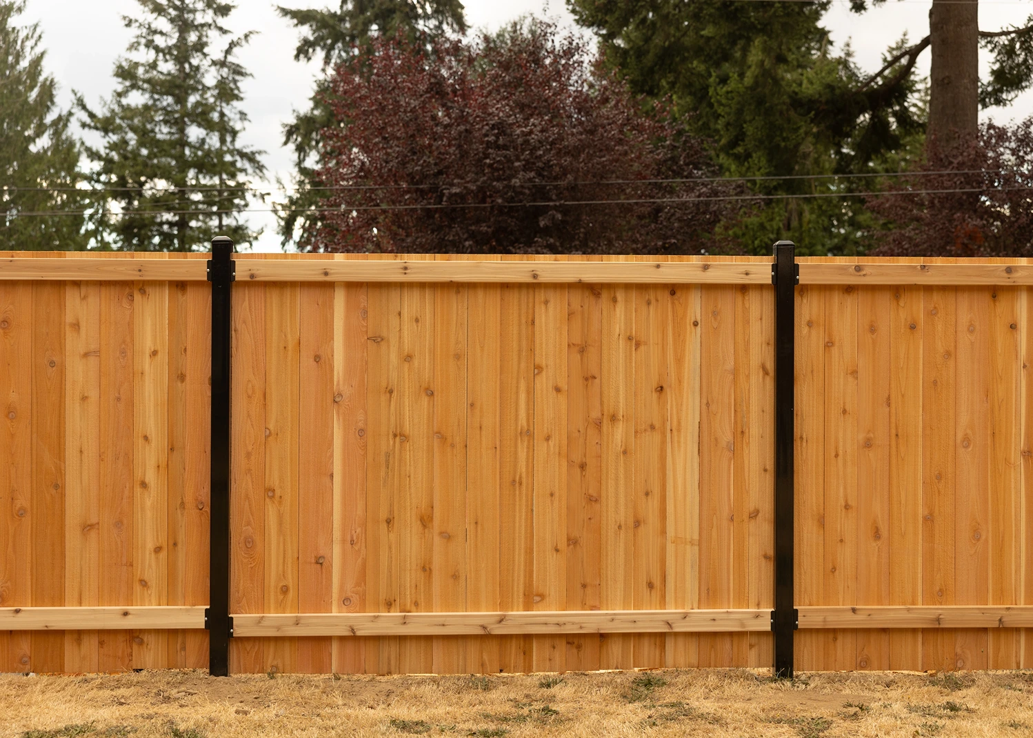 Steel-Framed Fence Design Sammamish After Image 18