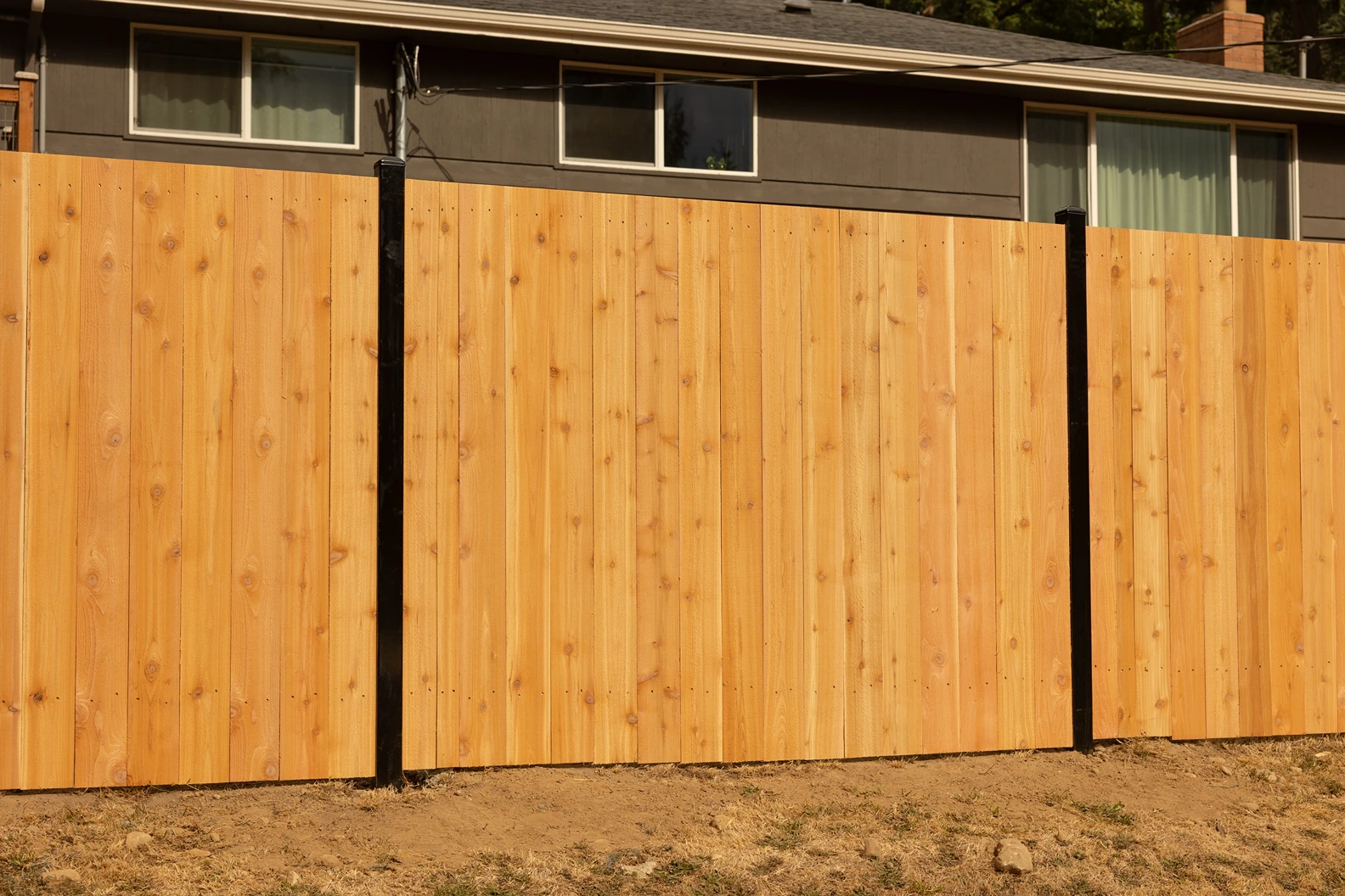 Steel-Framed Fence Design Sammamish After Image 2