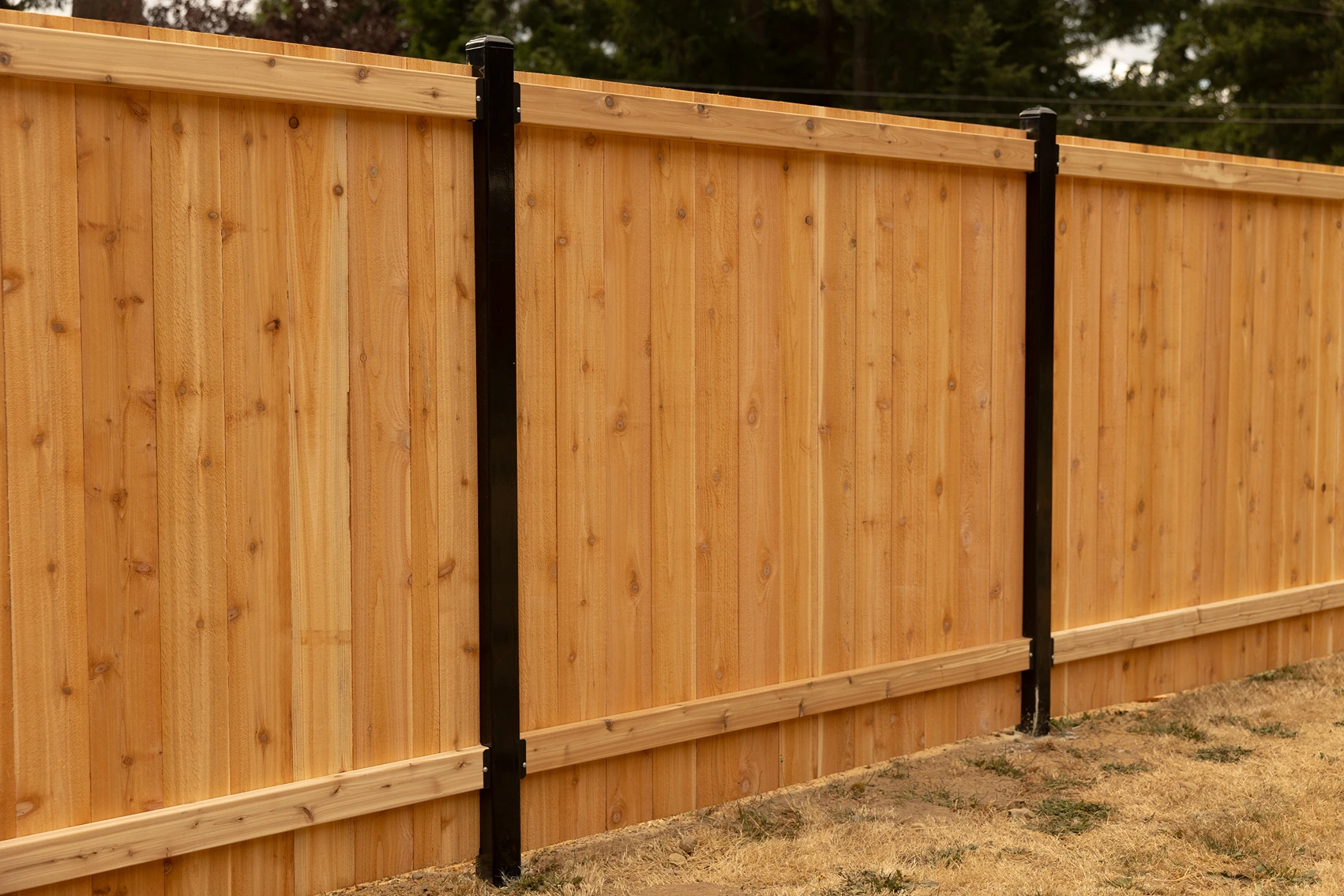 Steel-Framed Fence Design Sammamish Main Image