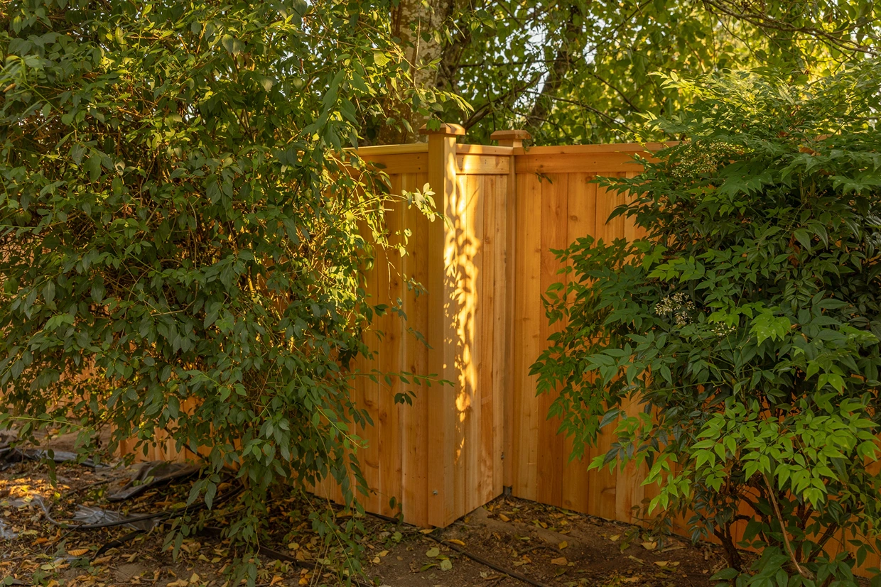 Cedar Privacy Fence Installation in Mukilteo, WA After Image 9