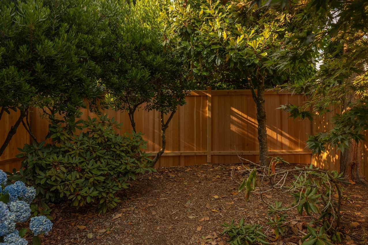 Cedar Privacy Fence Installation in Mukilteo, WA After Image 6