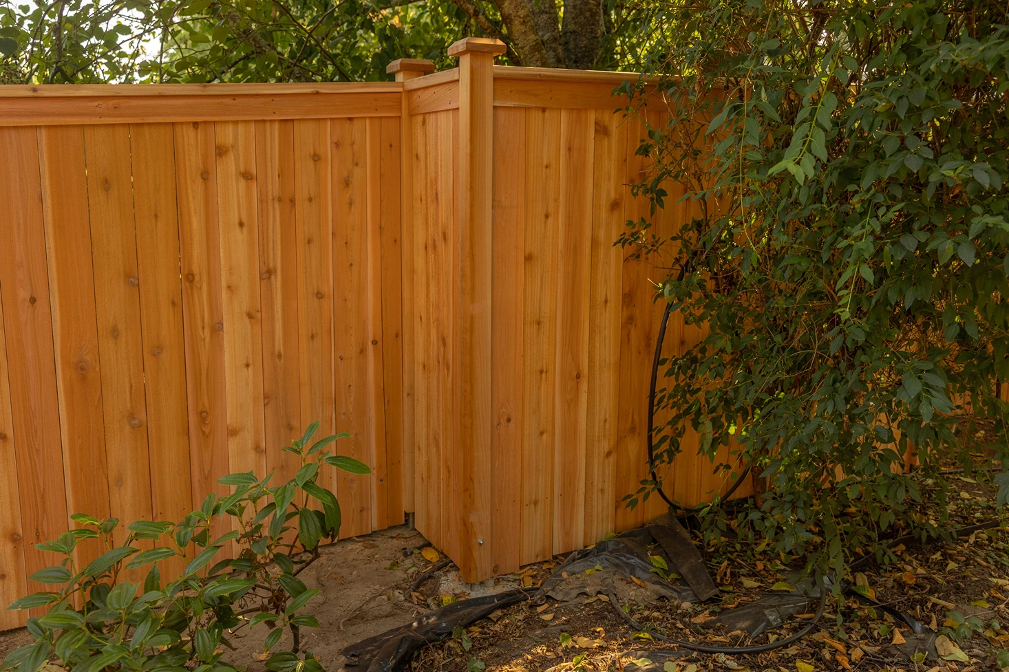 Cedar Privacy Fence Installation in Mukilteo, WA After Image 8