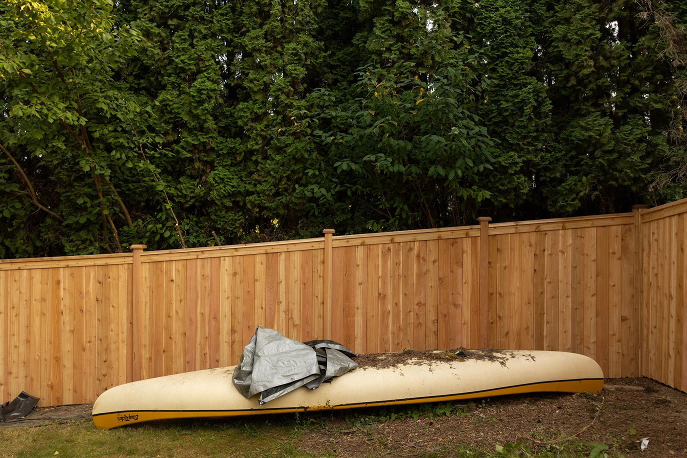 Cedar Privacy Fence Installation in Mukilteo, WA After Image 2
