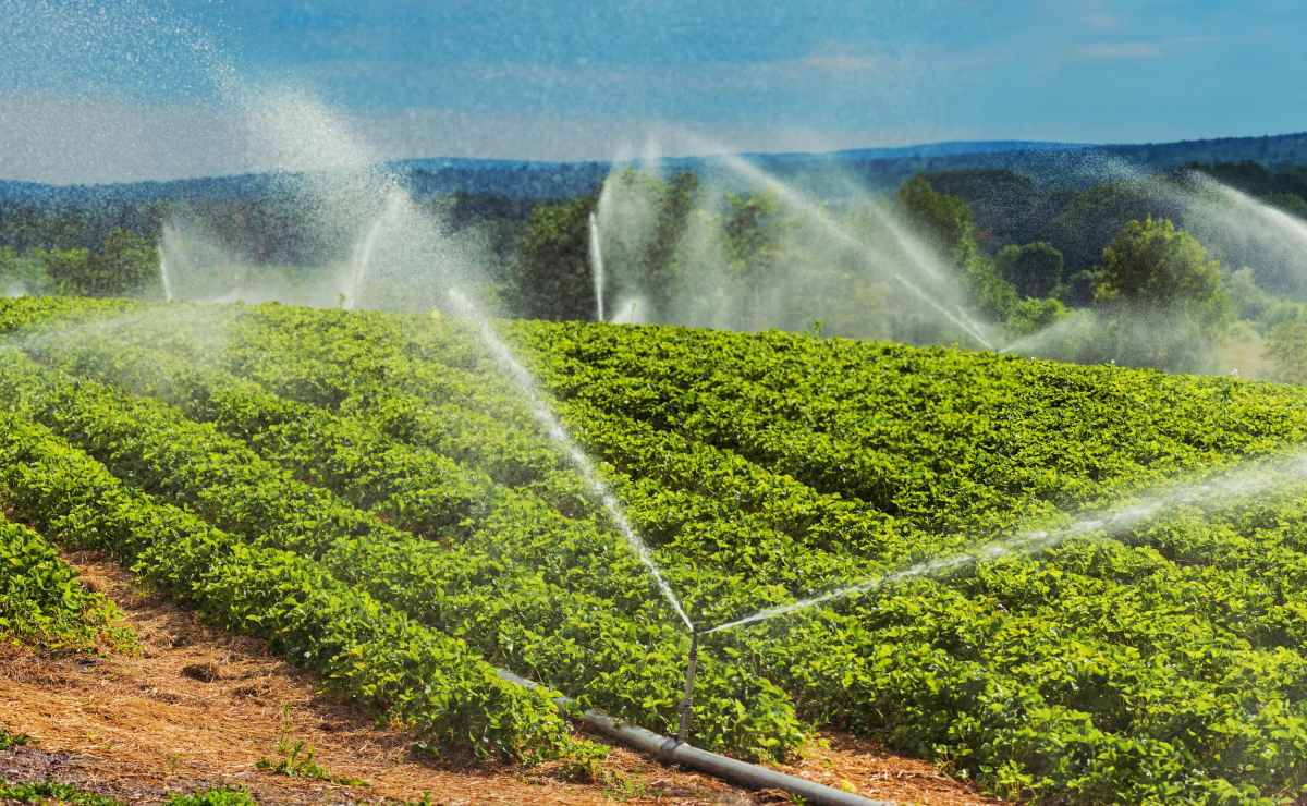 Instacrops AI Cuts Farm Water Use Up to 30% A New Model for Irrigation Automation
