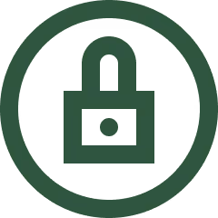 Security icon