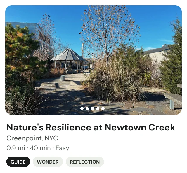 Trek: Nature's Resilience at Newtown Creek