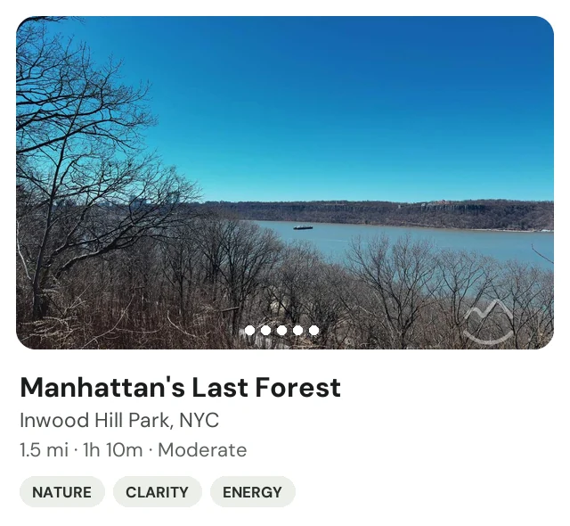 Trek: Manhattan's Last Forest in Inwood Hill Park