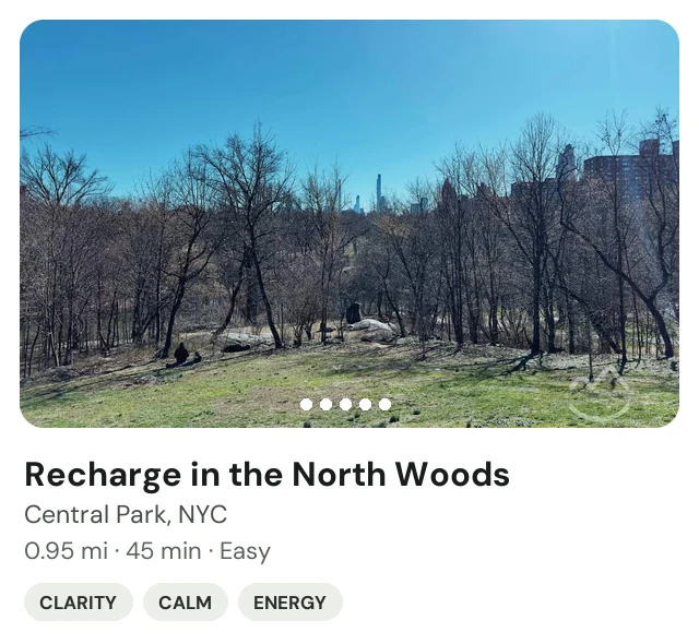 Trek: Recharge in the North Woods of Central Park