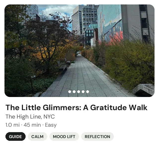 Trek: The Little Glimmers, a gratitude walk on the High Line