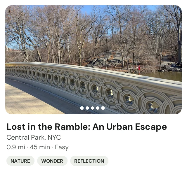 Trek: Lost in the Ramble in Central Park