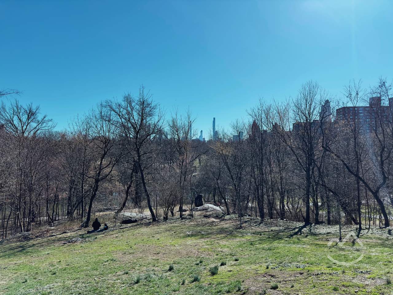 The wooded North Woods of Central Park, with water running beside the path