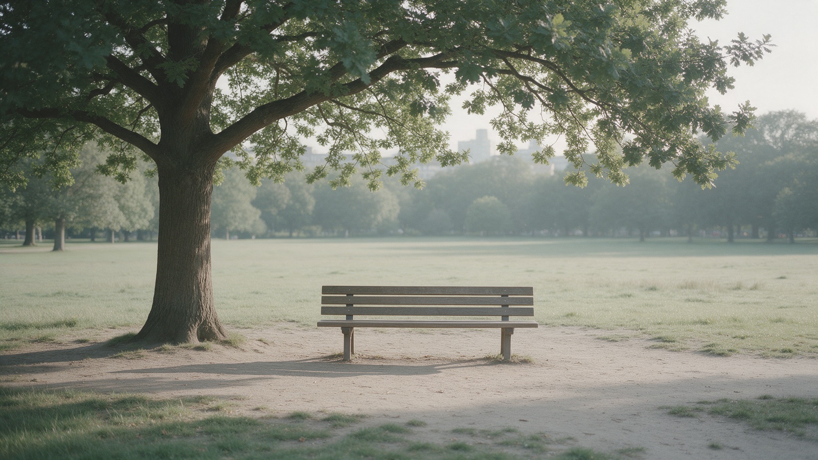 A wooden park bench under a large oak in soft overcast light, empty