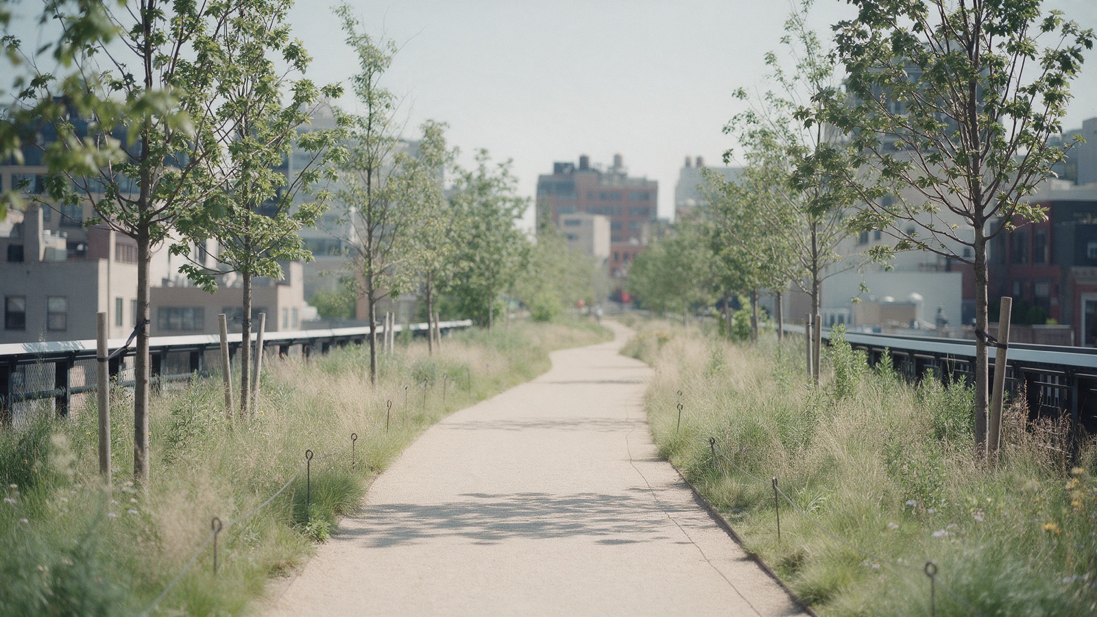 A sunlit path along a city waterfront park at midday, benches and young trees