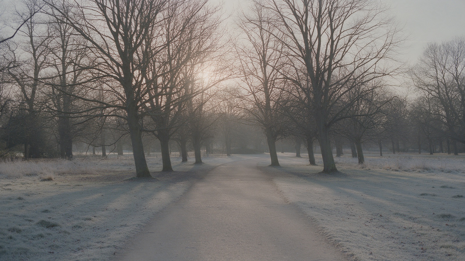 A bare winter park path with frost on the grass and low pale sun through leafless trees