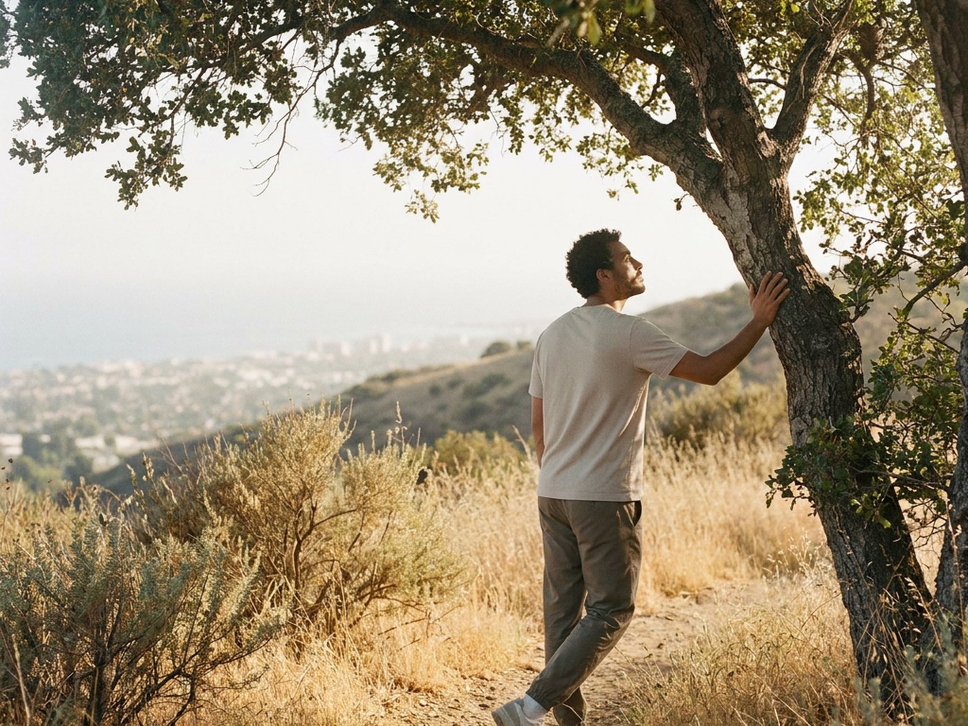 A man leaning on an oak on a golden hillside, looking out over the valley