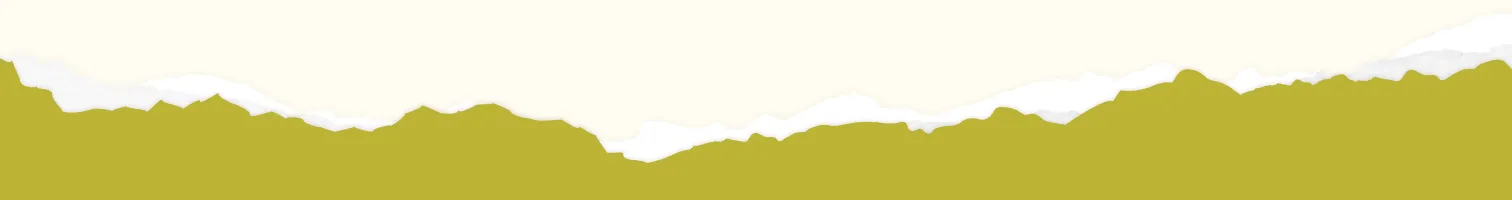Torn Edge Border