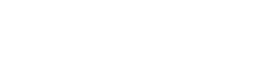 TEMO