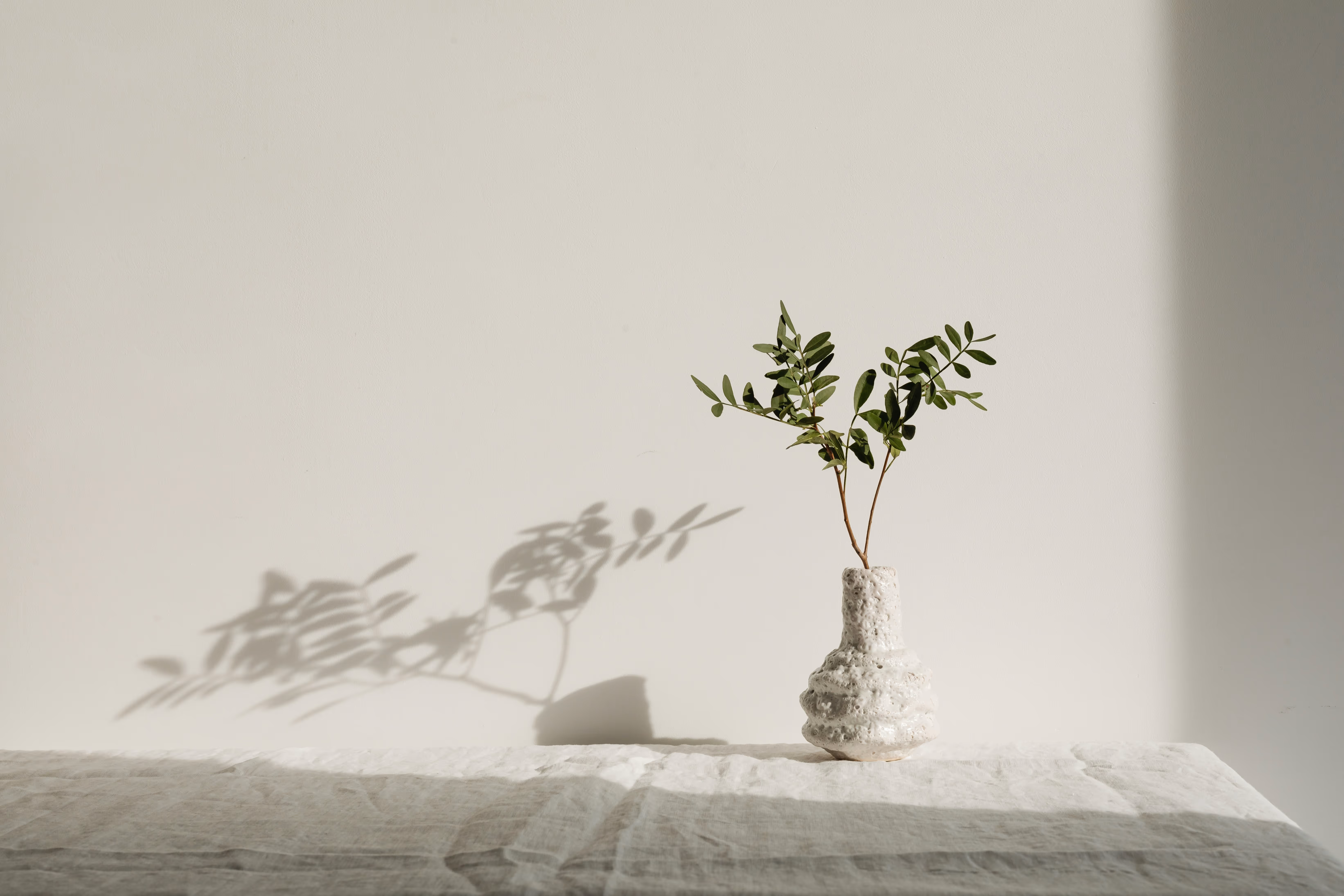 Your green home without buying new.