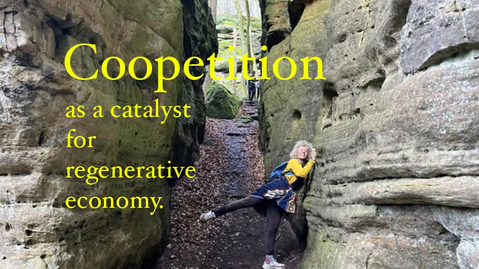 Coopetition as a catalyst for regenerative economy.