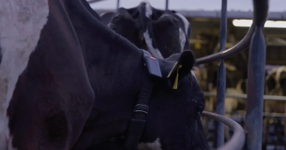 Billions For The Planet: Where Climate Tech Unicorns Are Born In 2025