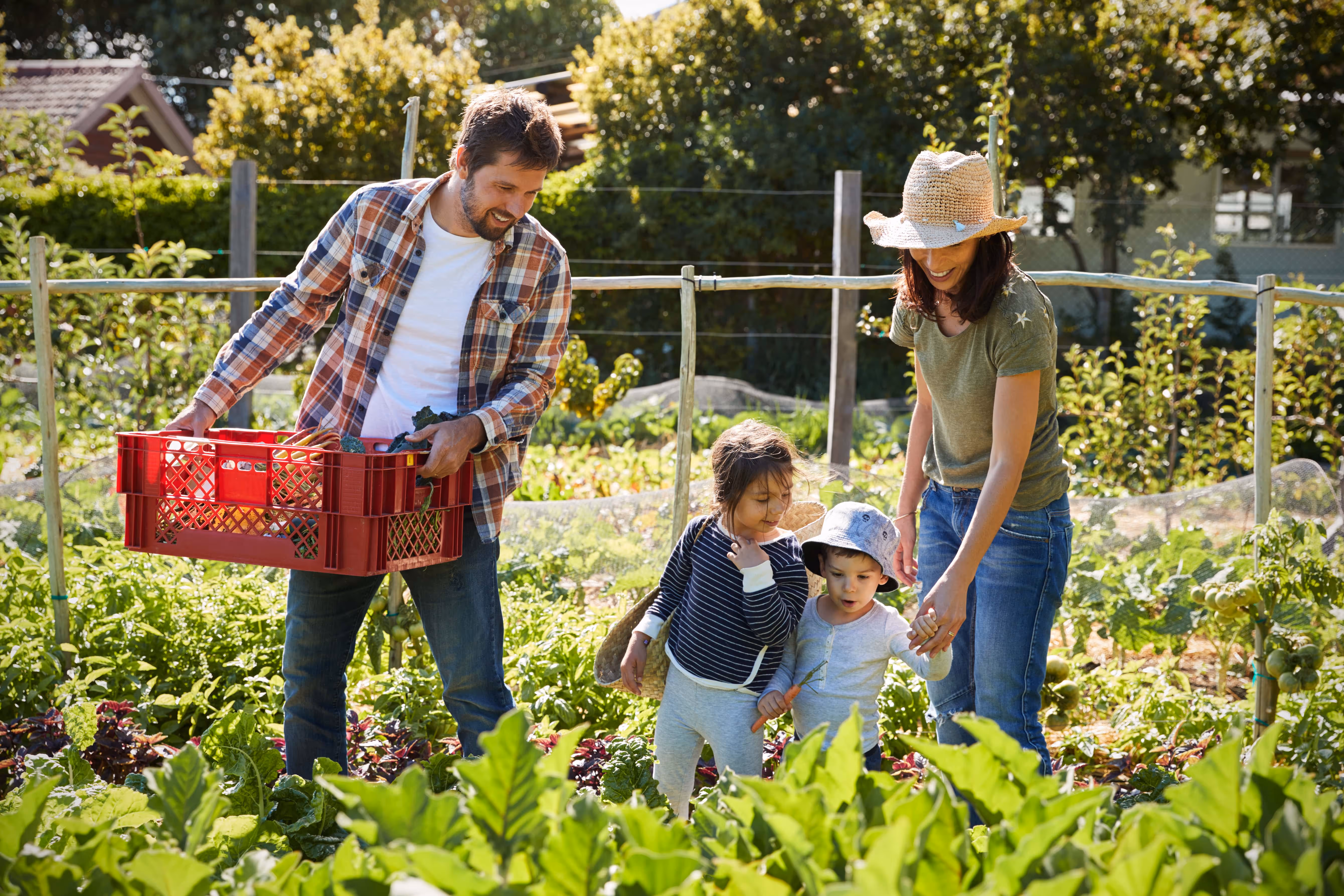 Regeneration as Survival: How to Build a Life that Sustains Itself