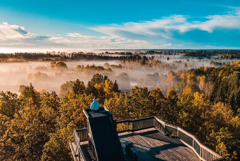 Mundekulla: A Living Prototype For Regenerative Enterprise