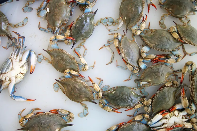 How To Spot Haters And Win Real Friends