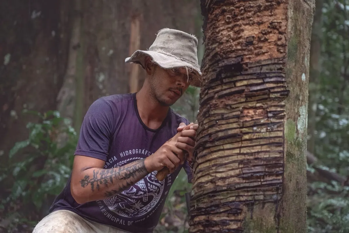 The End of the Sustainability Illusion