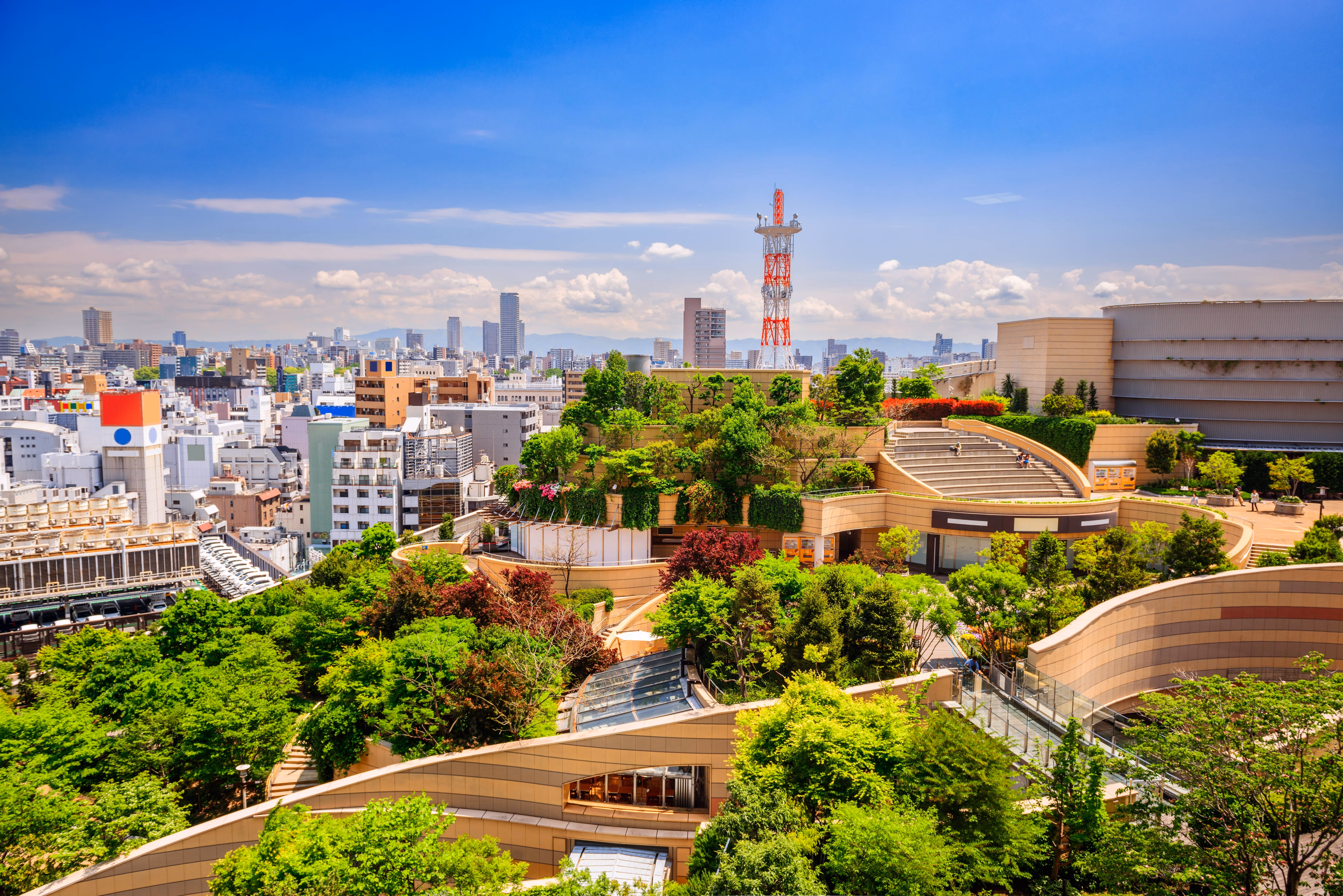 Living & Workspaces Inspired By Natural Patterns  