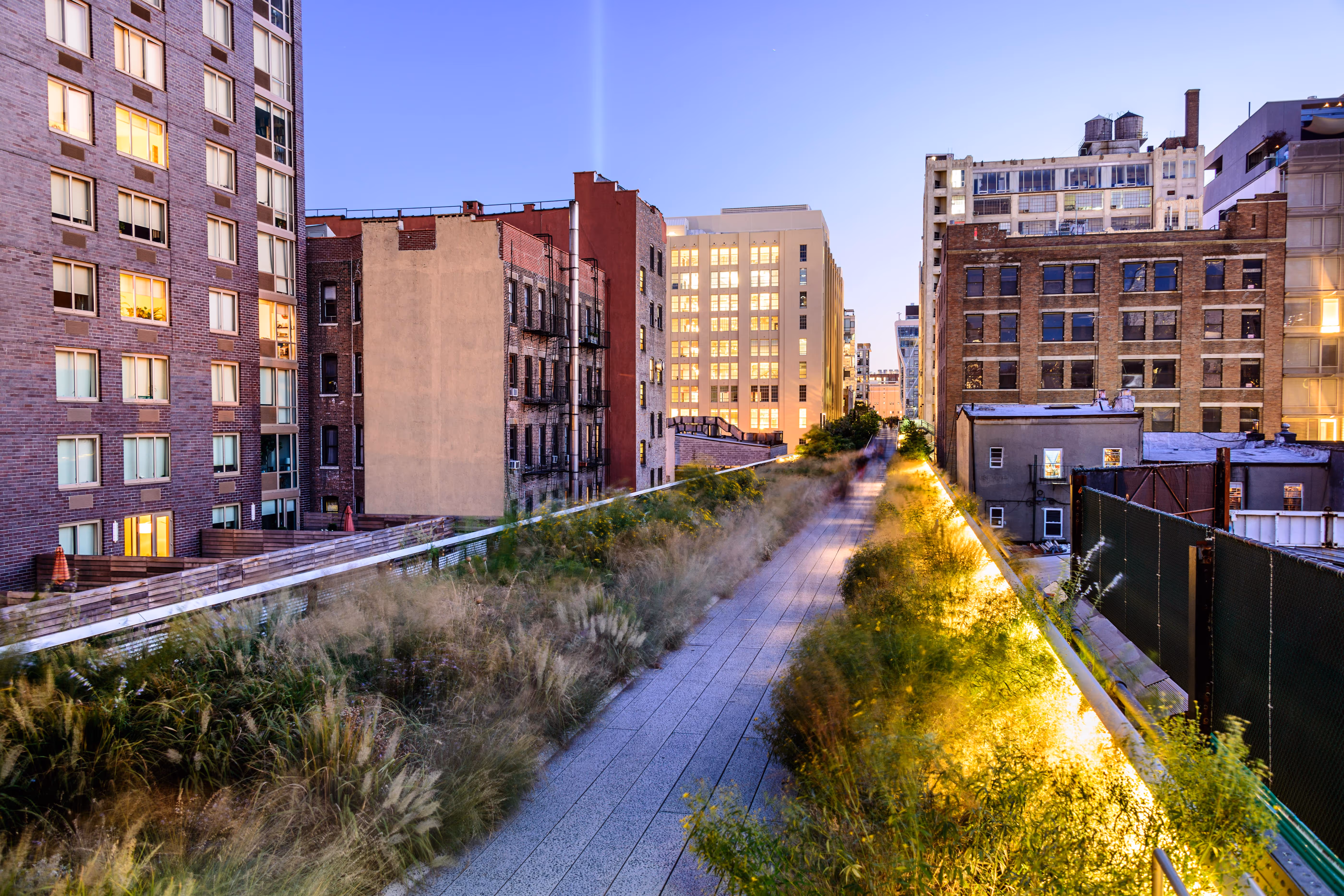Urban Regeneration: Nature in Cities