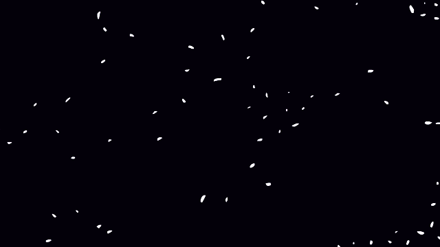 The Spotlight of 2026: When Growth Meets Limits 